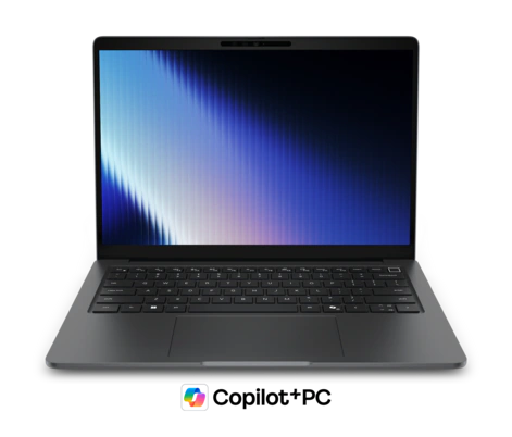 Dell · Pro · P713260