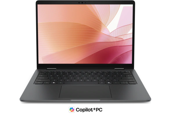 Dell · Pro · P704265